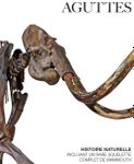HISTOIRE NATURELLE – incluant un rare squelette complet de mammouth