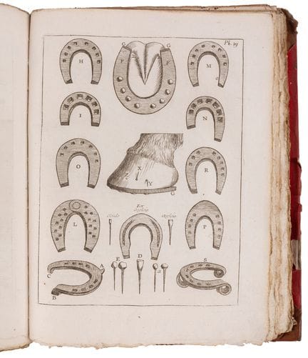 GARSAULT. VAUBAN.

[MILITARIA - CABALLERÍA].

LOTE