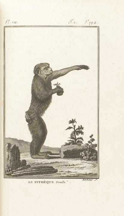 BUFFON, Georges Louis Leclerc.

Historia natural g