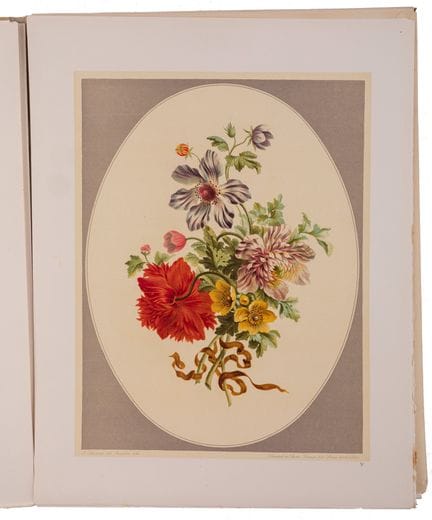 EDWARDS, John.

Colección de doce ramos de flores 