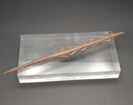 Punta in ferro con dentelli, di forma allungata, c