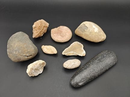 Collezione di pietre, minerali e fossili comprende