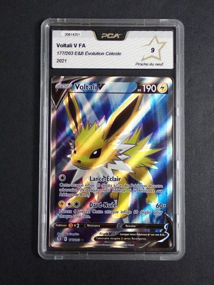 Carta Pokémon 
Contenuto: 1 carta rara Voltali V
E