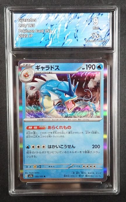 Carta Pokemon
Contenuto: 1 carta rara di gyarados 