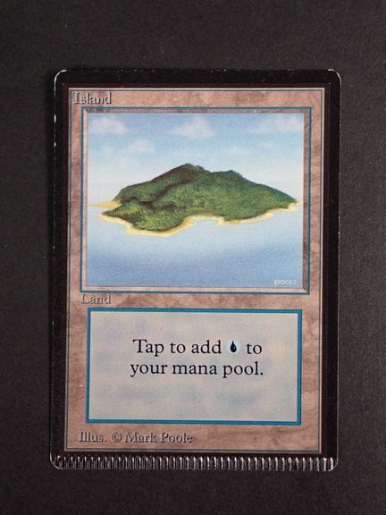 Magic the Gathering 
Contenuto: 1 carta comune "Is