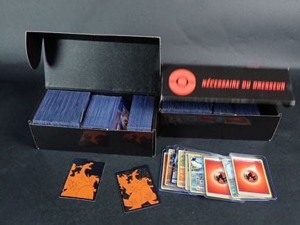 Carte Pokémon 
Contenuto: Set di 4 mazzi in toploa