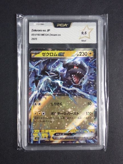 Carta Pokémon 
Contenuto: 1 carta rara Zekrom EX
E