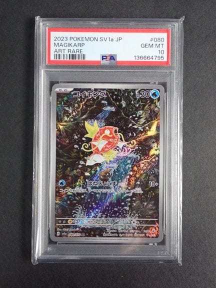 Carte Pokémon 
Contenuto: 1 carta rara Magikarp 
E
