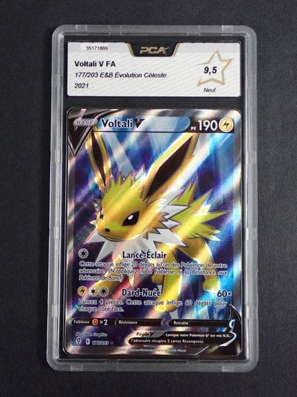 Carta Pokémon 
Contenuto: 1 carta rara Voltali V
E