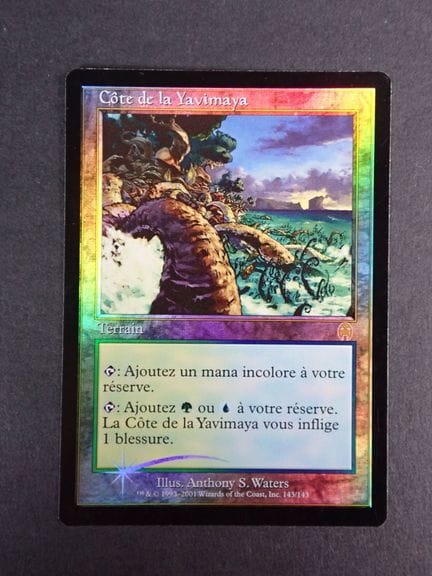Magic: The Gathering 
Contenido: 1 carta rara «Cot