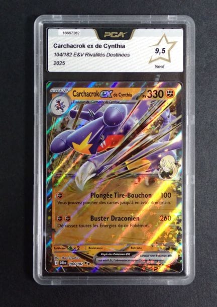 Carta Pokémon 
Contenuto: 1 carta rara Carchacrok 