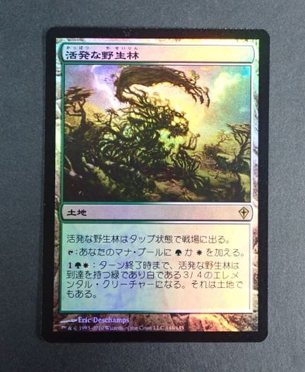Magic: The Gathering 
Contenuto: 1 carta rara "Boi