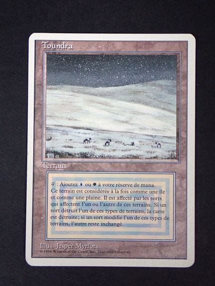 Magic: The Gathering 
Contenido: 1 carta rara de T