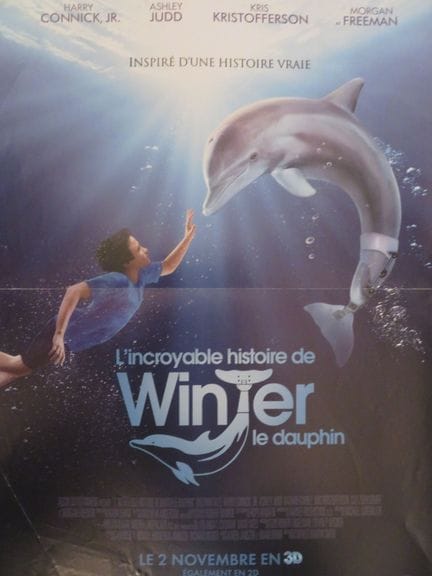«L'incredibile storia di Winter, il delfino»: (201