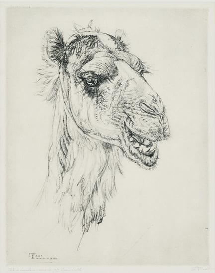EDUARD WIIRALT. « Naerev kaamel » (Un chameau qui 