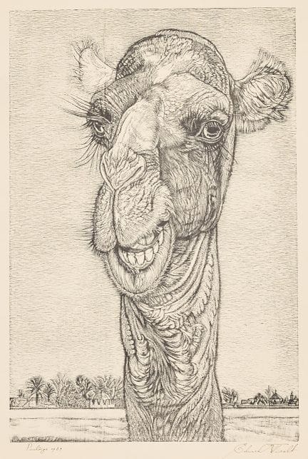 EDUARD WIIRALT. « Kaameli pea ». Gravure sur bois 