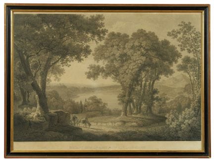 Según Wilhelm Friedrich GMELIN (1760-1820). Vista 