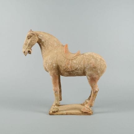 CHINE - Dynastie TANG  (618-907)
Mingqi (substitut