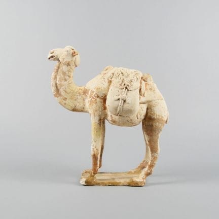 CHINE - Dynastie TANG  (618-907)
Mingqi (substitut