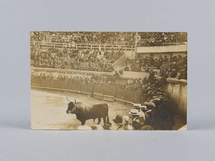 Tarjeta de circa 1924 «Le sanglier» (Lou senglié) 