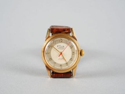 ELVIA. Orologio da polso da uomo con cassa in oro 