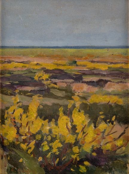 Büchsel, Elisabeth   1867 Stralsund – 1957 Stralsu