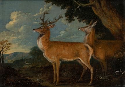 Enzinger, Anton   1683 Salzburg – 1786 Salzburg  S
