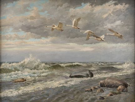 Reimann, Friedrich   1869 Mariaschein – 1991 Zeule