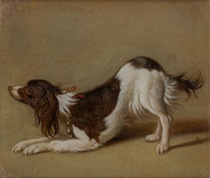 Holländische Schule   17. Jhdt. Spaniel. Öl/Papier