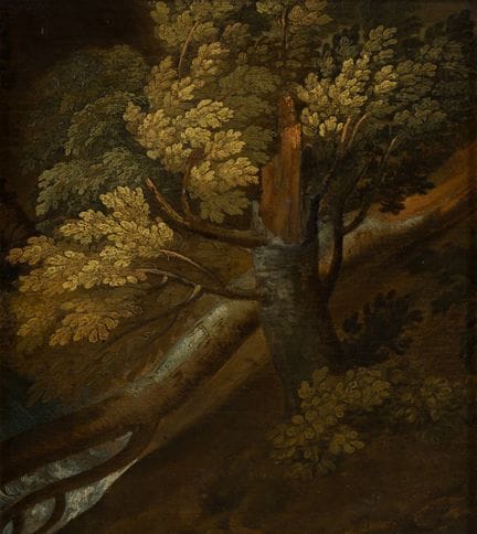 Maestro sconosciuto   Intorno al 1800. Studio di a