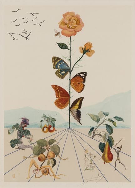 Dalí, Salvador   1904 Figueres - 1989 Figueres Flo