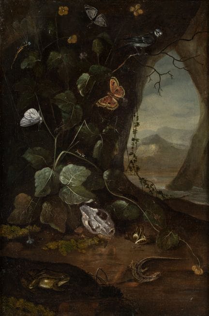 Flemish School   17th/18th century. Still Life wit