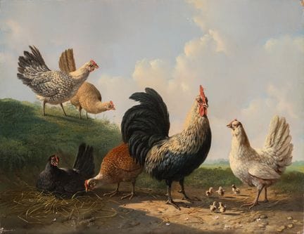 Verhoesen, Albertus   1806 Utrecht – 1881 Utrecht 