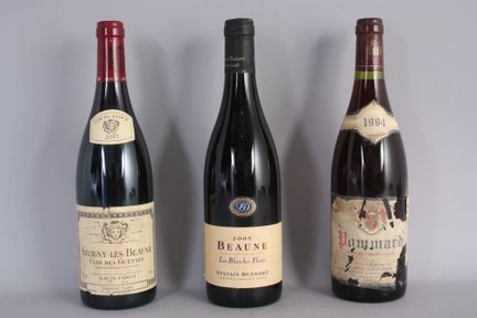 1 B POMMARD (e.t.h bis e.t.a) C. Roy-Jacquelin 199
