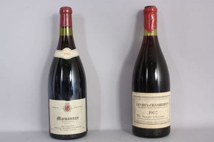 1 Mag MARSANNAY Rotwein (e.l.s; clm.s) Jean Collot