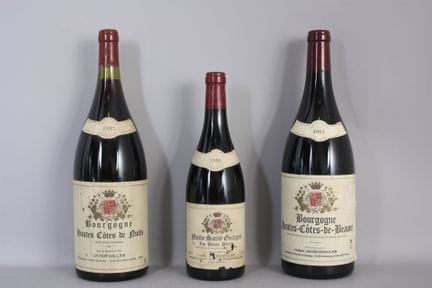 1 Mag BOURGOGNE HAUTES CÔTES DE NUITS Rotwein (e.l
