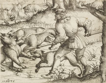 Hirschvogel, Augustin (1503-1553). Jagd auf das wi