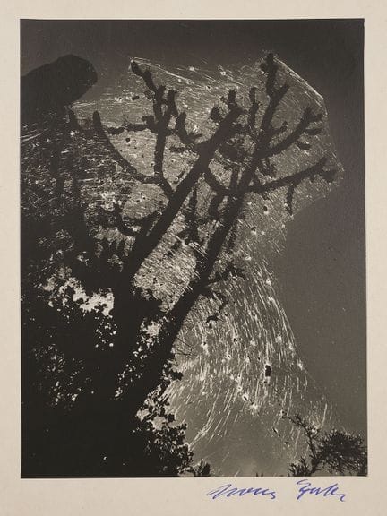 Hans Ertl 1908-2000 
« Gespinst », vers 1950, tira