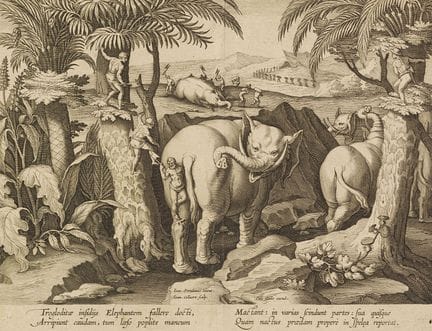 Collaert II, Jan (vers 1561-1620). La chasse à l'é