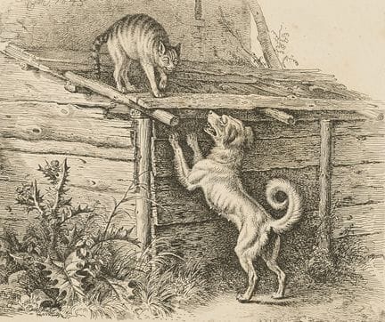 Klein, Johann Adam (1792-1875). Konvolut Hundedars
