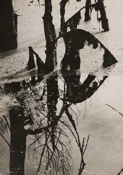 Lucien Clergue 1934-2014 
Paysage avec étang, Cama