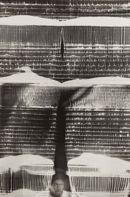 Imogen Cunningham 1883-1976 
Chris (Johnson) throu