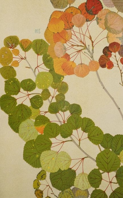 Recueil d'illustrations. – Philippe Robert (1881-1