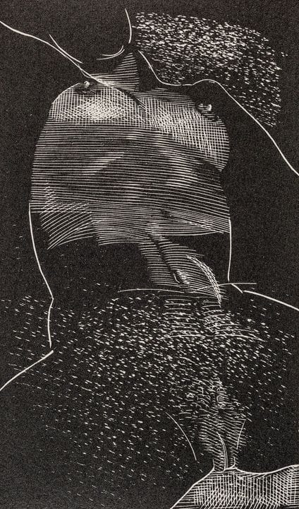 Treiber. – Lot comprenant trois livres illustrés d