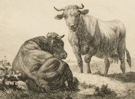 Voltz, Friedrich (1817-1886). Animaux au pâturage 