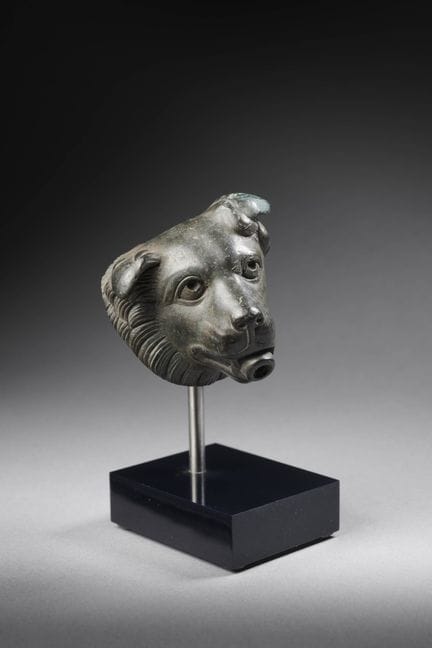 青铜摩洛斯犬头像

罗马艺术，约公元2世纪

这件青铜器物塑造了一只犬头，双耳下垂，毛发刻画细腻，瞳