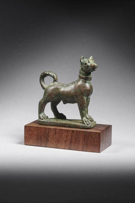 青铜母犬小雕像

罗马艺术，公元1世纪

这尊小雕像描绘了一只直立的母狗，立于长方形底座上，头部微微
