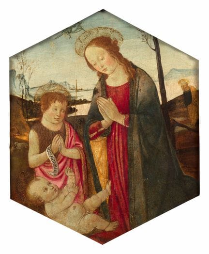 Jacopo del SELLAIO  (Florence, 1441–1493)

The Vir