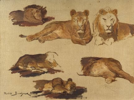Rosa BONHEUR (Bordeaux, 1822 – Paris, 1899)

Study