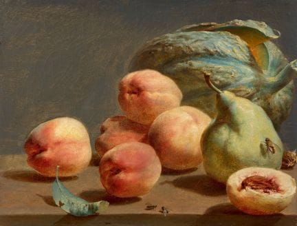 Antoine BERJON (Lyon, 1754–1843)

Pear, Squash, Pe